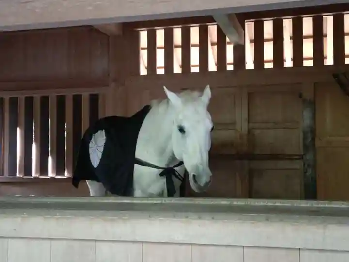 伊勢神宮外宮(豊受大神宮)(三重県)