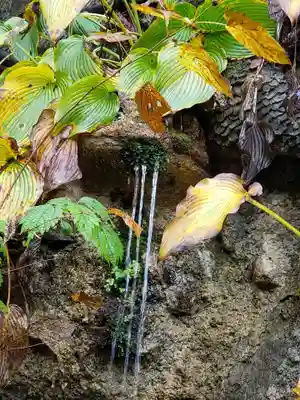 大滝観音の周辺