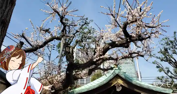 幸稲荷神社の自然