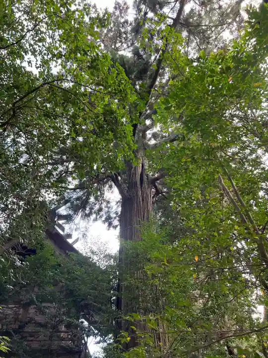 須佐神社(島根県)