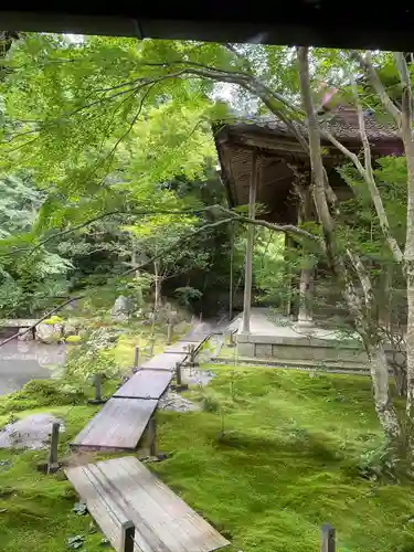 蓮華寺（洛北蓮華寺）の庭園