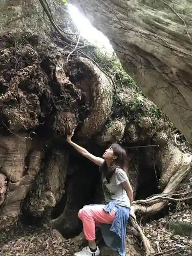 神内神社の建物その他