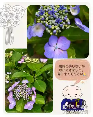 【公式】龍門院常楽寺（秩父札所十一番）(埼玉県)