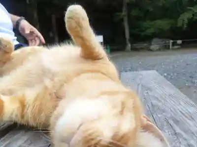 小松寺(千葉県)