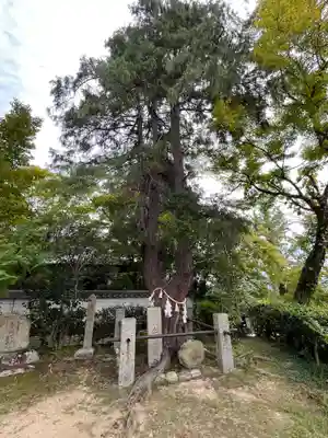 聖天宮 西江寺(大阪府)