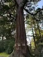 八幡宮(富山県)