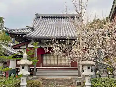 大寳寺（大宝寺）(長崎県)