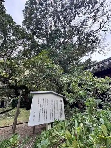 金剛王院(京都府)