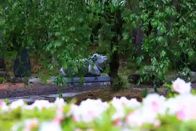 豊景神社の狛犬