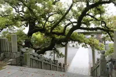 宇夫階神社(香川県)