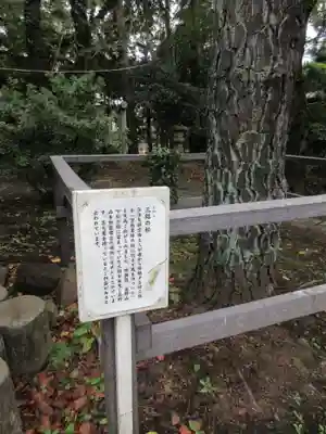 観音寺（世田谷山観音寺）の歴史
