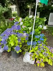 源九郎稲荷神社(奈良県)