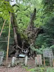 葛見神社(静岡県)