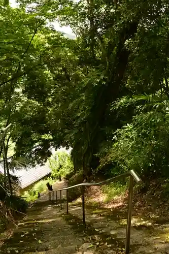 川崎神社(愛媛県)