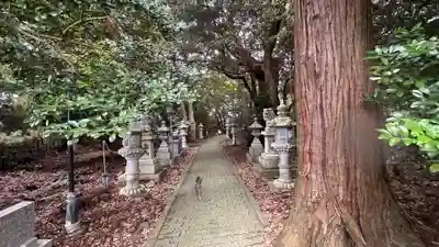 島山神社(福井県)