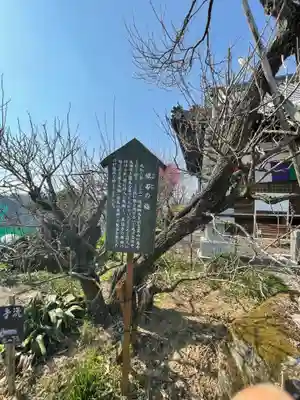 真福寺(奈良県)