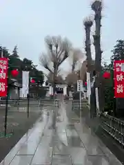 亀ケ池八幡宮(神奈川県)