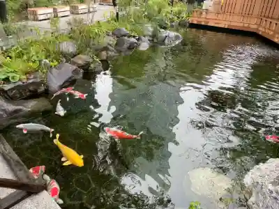 愛宕神社の{uncategorized: "未分類", other: "その他", undefined: "問題あり", building: "その他建物", grave: "お墓", sacred_gate: "鳥居", guardian: "狛犬", statue: "像", buddha: "仏像", history: "歴史", nature: "自然", garden: "庭園", animal: "動物", pagoda: "塔", temizu: "手水舎", mountain_gate: "山門・神門", sanctuary: "本殿・本堂", subordinate: "末社・摂社", art: "芸術", scenery: "景色", jizo: "地蔵", ema: "絵馬", goshuin: "御朱印", omikuji: "おみくじ", items: "授与品その他", amulet: "お守り", goshuincho: "御朱印帳", eats: "食事", festival: "お祭り", votive_dance: "神楽", shichigosan: "七五三参", wedding: "結婚式", experience: "体験その他", initially: "初詣", around: "周辺", anti_infection: "感染症対策"}