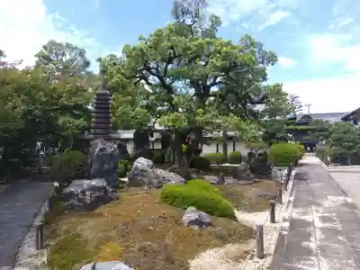 崇福寺(岐阜県)