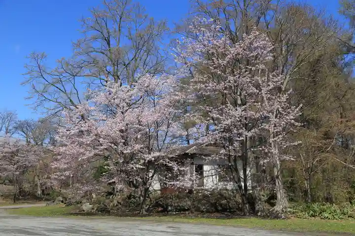 有珠善光寺の自然