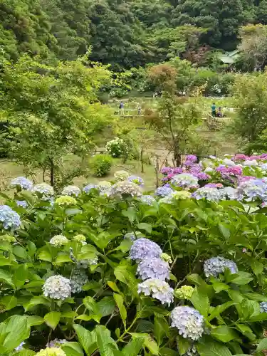 本土寺(千葉県)