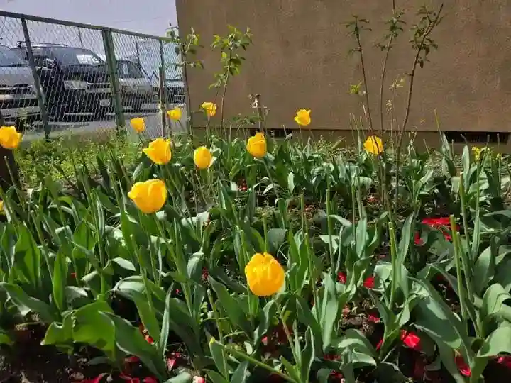 王子白髭神社(東京都)