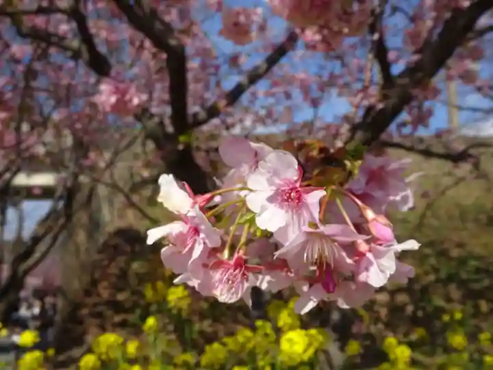 阿邪訶根神社(福島県)