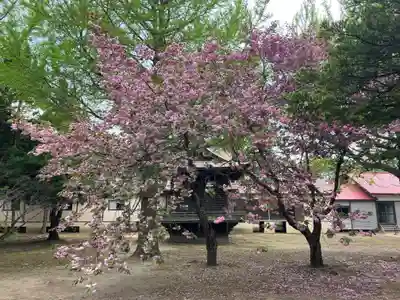 岩内神社(北海道)