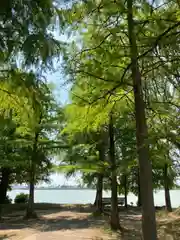 天満神社の周辺