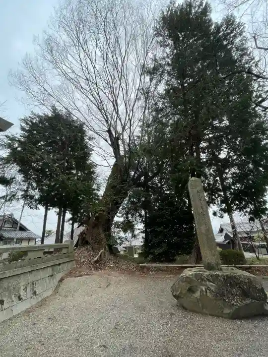 日吉神社(滋賀県)