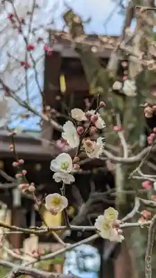 菅原院天満宮神社(京都府)