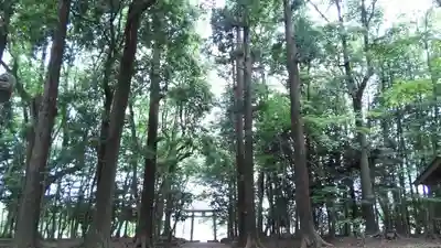 東蕗田天満社のその他建物