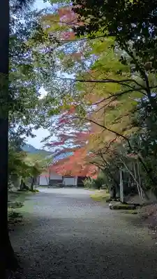 地藏院(京都府)