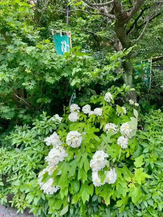 阿佐ヶ谷神明宮(東京都)