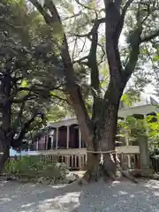 乃木神社(東京都)