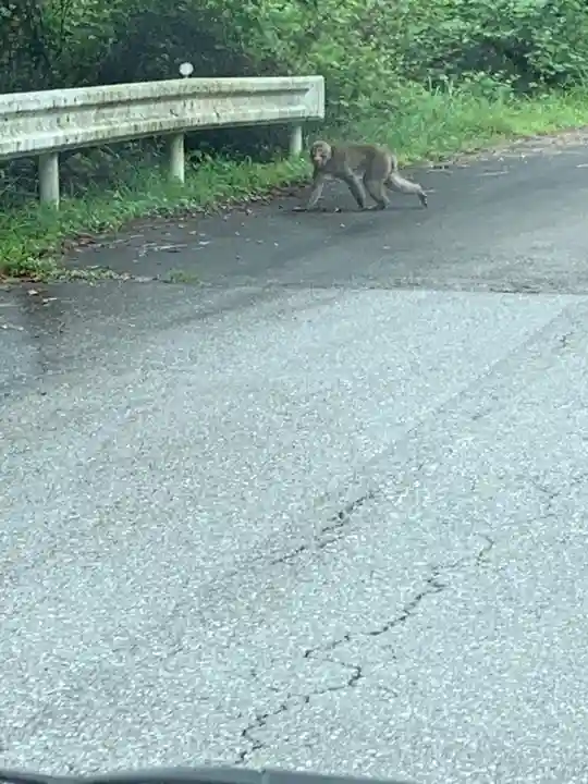 古峯神社の動物