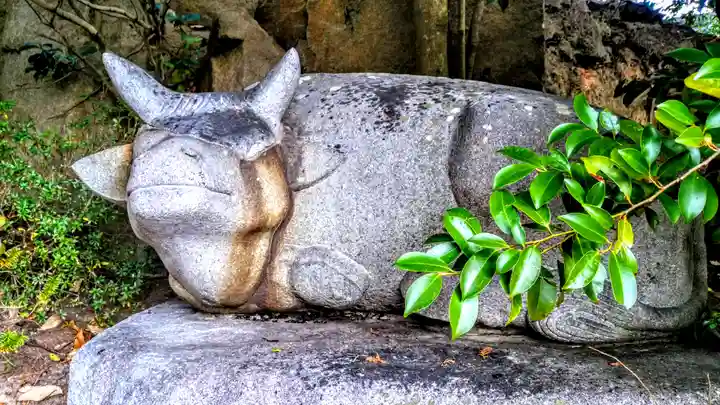 岡崎天満宮の狛犬
