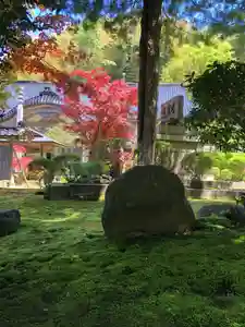 海門寺の庭園(2024年05月07日(火) 12時16分20秒投稿)