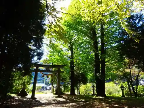 八坂神社(滋賀県)