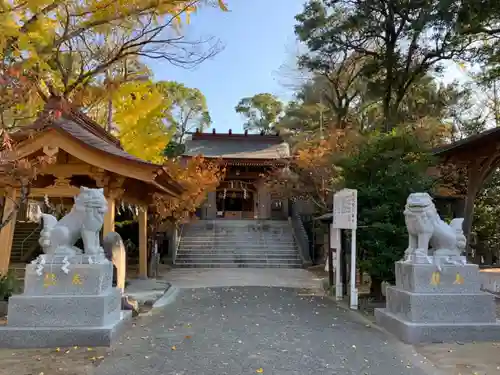 昊天宮の狛犬