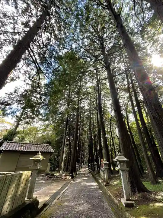 東大野八幡神社(福岡県)