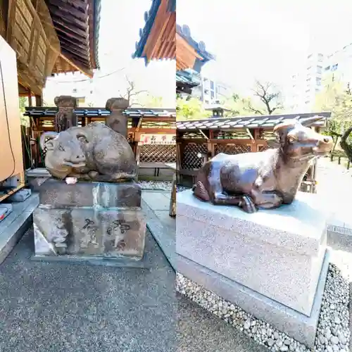 湯島天満宮の狛犬