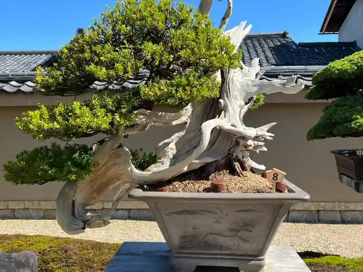 芳春院(京都府)