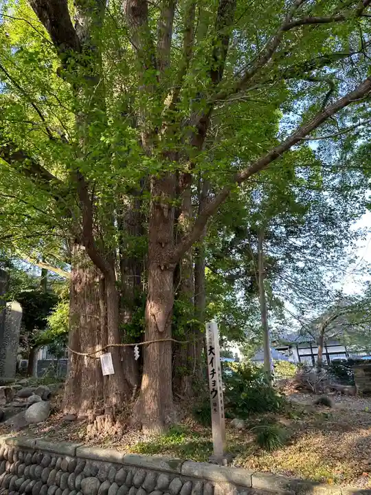 豊積神社(静岡県)