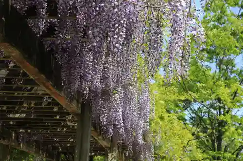 滑川神社 - 仕事と子どもの守り神の周辺