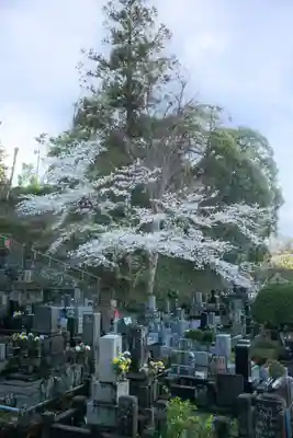 正安寺(神奈川県)