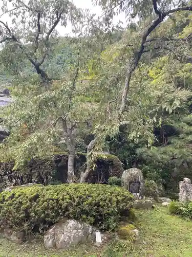 金蔵寺(京都府)