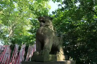 愛宕神社の狛犬