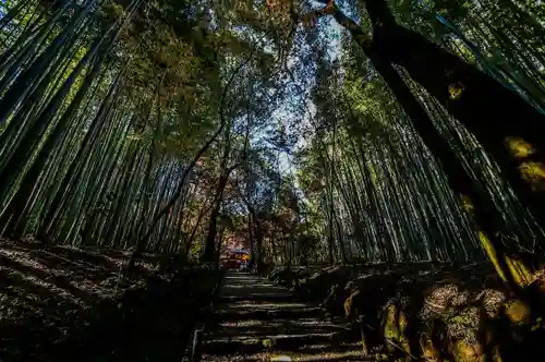 地蔵院の自然