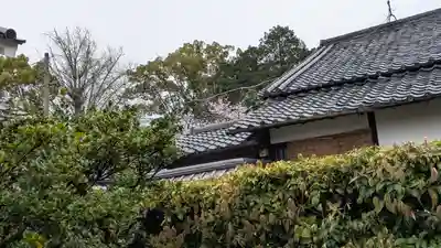 隨心院（随心院）(京都府)